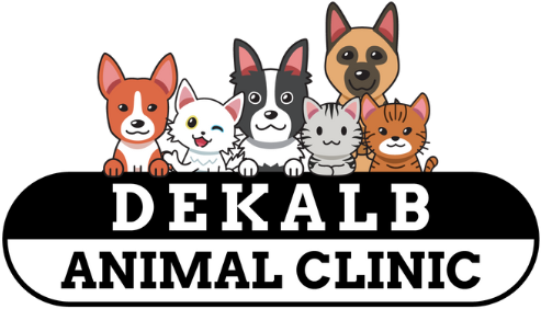 Dekalb Animal Clinic